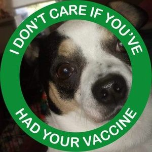 Meet your Posher, Curtis